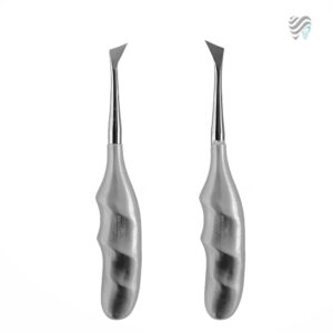 elevator-carrier-anatomic